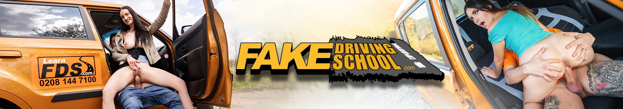 Fake Driving School